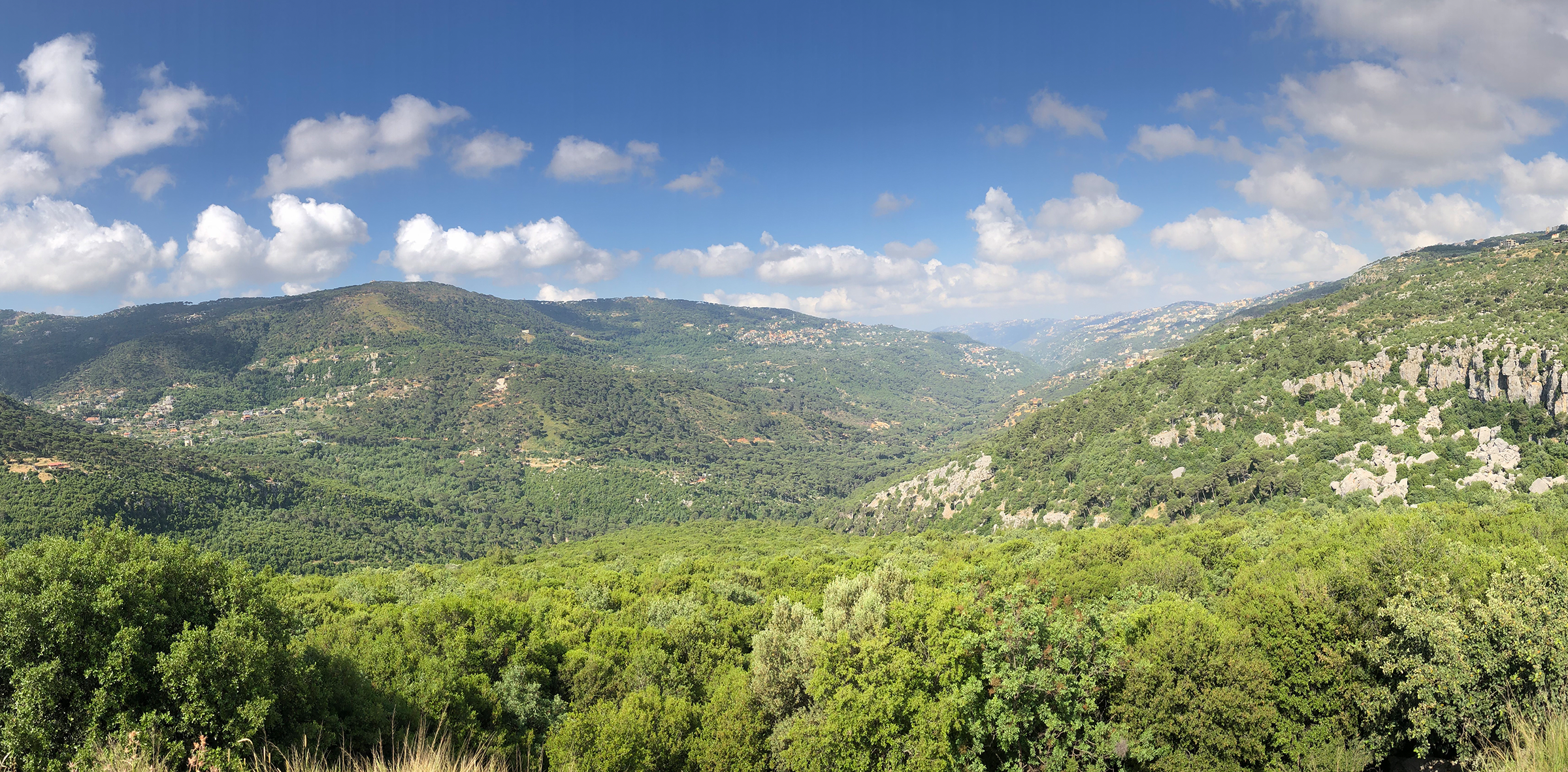 Lebanon Biodiversity