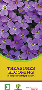  booklet image of Ehden Flowers Booklet 2021