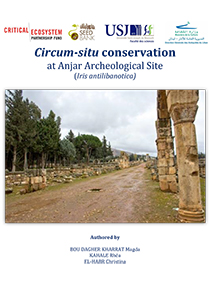  image of Circum-situ conservation in  Anjar Archeological Site